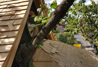 Casa del árbol con techo construido alrededor de un árbol vivo, ideal para glamping en Wesertal, Alemania.