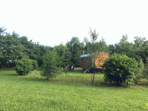 Prato verde con alberi e cespugli, una roulotte accogliente al Gesundheidshof Denker, Jutland.