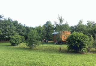 Lush green yard with trees and bushes, featuring a cozy gypsy wagon at Gesundheidshof Denker, Jutland.
