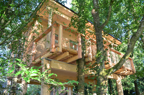 Glamping accommodation Boomhut-Mainbaumhaus, a wooden treehouse built among lush green trees in nature.