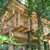Glamping accommodation Boomhut-Mainbaumhaus, a wooden treehouse built among lush green trees in nature.