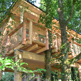 Glamping accommodatie Boomhut-Mainbaumhaus, een houten boomhut tussen groene bomen in een bosrijke omgeving.