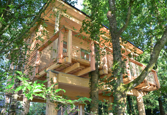 Alojamiento glamping Boomhut-Mainbaumhaus, casa en el árbol de madera rodeada de frondosos árboles verdes.