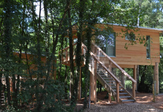 Baumhaus-Glamping-Unterkunft 'Boomhut - Mainbaumhaus' im Wald, aus Holz gebaut mit Treppe.