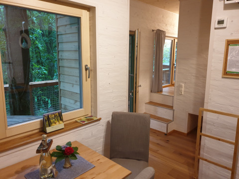 Interior view of glamping accommodation 'Boomhut - Mainbaumhaus' showing wooden floors, window, and greenery.