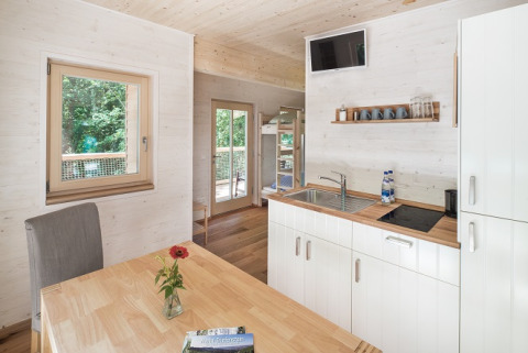 Modern kitchen and dining area in glamping accommodation 'Boomhut - Mainbaumhaus' with wood interior.