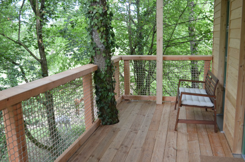 Houten terras met bankje en boom, omgeven door bos, glamping accommodatie Boomhut - Mainbaumhaus.