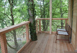 Houten terras met zitbank en doorlopende boom, midden in het bos, glamping Boomhut - Mainbaumhaus.