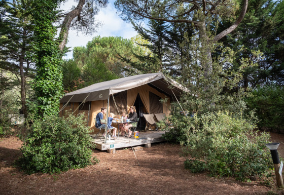 Alloggio glamping immerso nella natura presso Huttopia Chardons Bleus – Ile de Ré - Glamping Nouvelle-Aquitaine.
