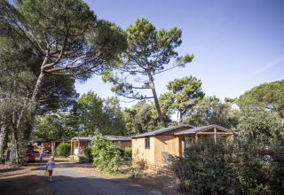 Cabañas de madera entre árboles en Huttopia Chardons Bleus – Ile de Ré, glamping en Nouvelle-Aquitaine.