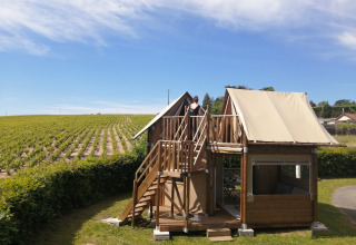 Glamping-Unterkunft bei Camping La Grappe Fleurie im Beaujolais mit Blick auf Weinberge und blauen Himmel.