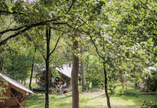 Tende glamping al Camping Huttopia De Veluwe in Gelderland immerse nella natura verde durante l’estate.