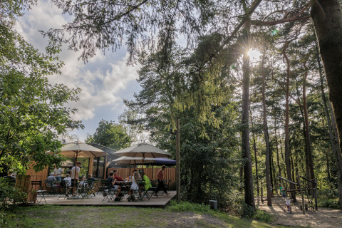 Glamping bei Camping Huttopia De Veluwe in Gelderland mit Gästen, Sonnenschirmen und Waldumgebung.