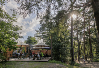 Glamping al Camping Huttopia De Veluwe in Gelderland, ospiti rilassati nel verde tra alberi e ombrelloni.