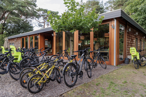 Cykler foran en moderne træhytte ved Camping Huttopia De Veluwe – Glamping teltplads i Gelderland.