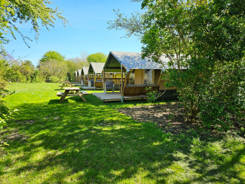 Glamping presso Minicamping Sint Jan - Safaritenten Zeeland con tende safari e tavoli da picnic nel verde.