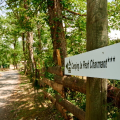 Bord camping - Villatent - Camping La Pech Charmant - Les Eyzies, Dordogne, Frankrijk