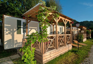 Vista esterna di Wellnesscamping & Landhuis Parth - Stacaravans Austria con veranda in legno e piante verdi.