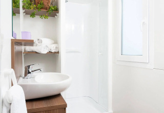 Modern bathroom in glamping accommodation Wellnesscamping & Landhuis Parth with wooden floor and plants.