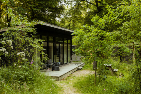 Alloggio glamping Buitenplaats Beekhuizen - Forest cabins Veluwe, cabina moderna immersa nella natura.