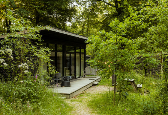 Hébergement glamping Buitenplaats Beekhuizen - Forest cabins Veluwe, cabane moderne entourée de verdure.