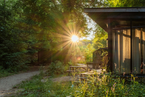 Cabañas de Buitenplaats Beekhuizen en Veluwe, Países Bajos, rodeadas de bosque y bañadas por la luz del sol.