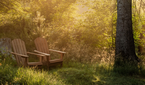 Twee houten stoelen in het ochtendzonlicht omringd door bos bij Buitenplaats Beekhuizen - Forest cabins Veluwe.