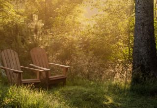 Twee houten stoelen baden in ochtendlicht, omgeven door bos bij Buitenplaats Beekhuizen - Forest cabins Veluwe.