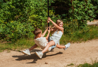 Two children play on a rope swing in the forest at Buitenplaats Beekhuizen - Forest cabins Veluwe.
