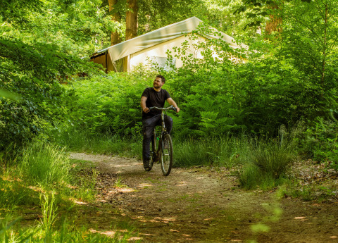 Man biking along a forest path near glamping tent at Buitenplaats Beekhuizen - Forest cabins Veluwe.