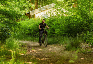 Man biking along a forest path near glamping tent at Buitenplaats Beekhuizen - Forest cabins Veluwe.