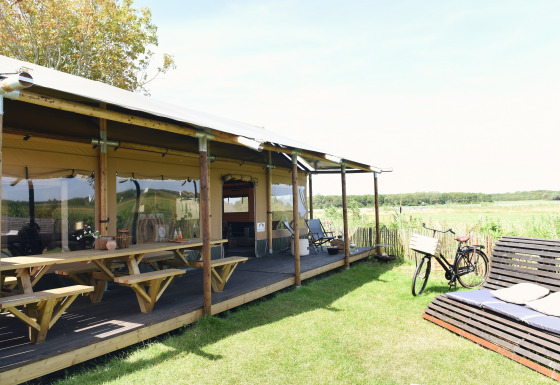 Glamping-indkvartering Duynpark Het Zwanenwater - Woodlodges i Noord-Holland med cykel og bænk udenfor.