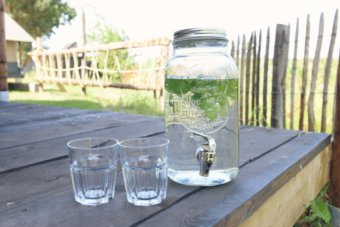 Glasdispenser med vand og mynte på træbord, to glas foran, Duynpark Het Zwanenwater - Woodlodges.