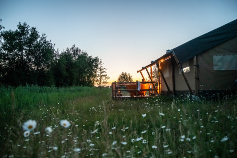 Glamping tent accommodation and outdoor tub at sunset in a flower field at Erfgoed Bossem, Twente.