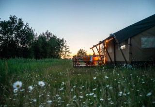Glamping-indkvartering med telt og badekar ved solnedgang på en blomstereng hos Erfgoed Bossem i Twente.