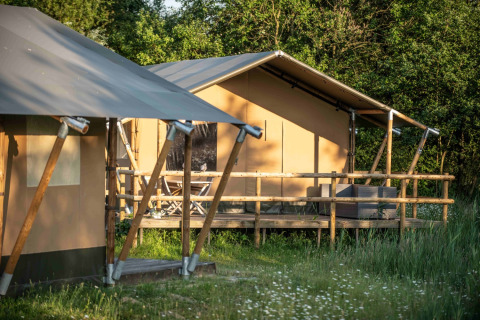To moderne safaritelte med træterrasse hos Erfgoed Bossem - Lodgetenten Twente omgivet af natur.