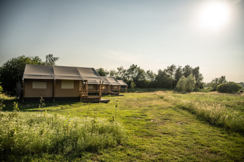 Alojamiento glamping en Erfgoed Bossem - Lodgetenten Twente con tiendas tipo lodge en un campo soleado.