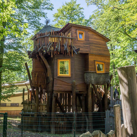 Bijzondere boomhut glamping in Dierentuin Schwerin, verscholen tussen bomen en natuurlijke omgeving.
