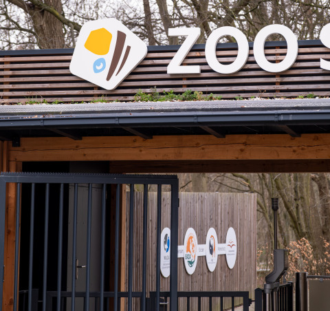 Entrance to Schwerin Zoo with modern signage, suitable for glamping or camping at the Boomhut accommodation.