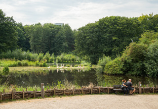 Due persone sedute su una panchina vicino a uno stagno con uccelli bianchi e bosco a Boomhut - Dierentuin Schwerin.