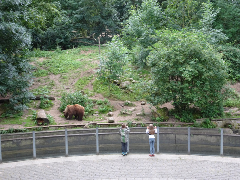Deux enfants regardent un ours brun dans un enclos du zoo de Schwerin, entouré d'arbres verdoyants.