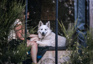 Kvinde sidder med en stor, hvid hund indenfor, omgivet af planter i Nutchel Cabins - Tiny Houses Elzas.