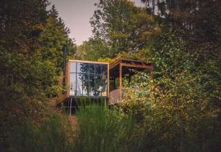 Nutchel Cabins - Tiny Houses Elzas, sistemazione glamping immersa nel verde della foresta.