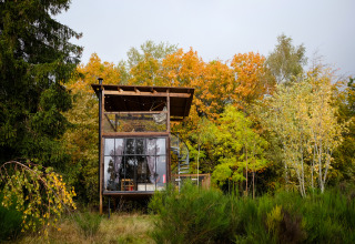 Nutchel Cabins Elzas glamping : Une tiny house moderne avec grandes baies vitrées dans une forêt d’automne.