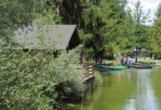 Hébergement glamping au bord du lac au Camping Ammertal - Lodges Beieren avec canoës et arbres verts.