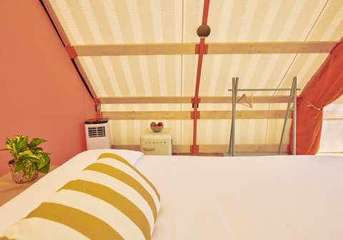 Indretning af et rummeligt glampingtelt hos Lavita Camp Cagliari med seng, planter og rustik stige.