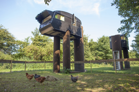 Unique glamping accommodation at De Vreemde Vogel featuring elevated black cabins and chickens in South Holland.