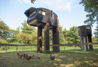 Glamping unico a De Vreemde Vogel con cabine nere sopraelevate e galline all'aperto in Zuid-Holland.