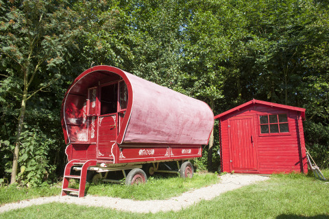 Roter Zirkuswagen und Schuppen im Grünen bei De Vreemde Vogel, einzigartiges Glamping in Zuid-Holland.