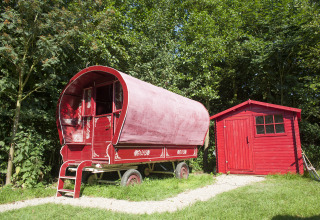 Carrozza rossa e capanno immersi nel verde a De Vreemde Vogel, glamping unico a Zuid-Holland.